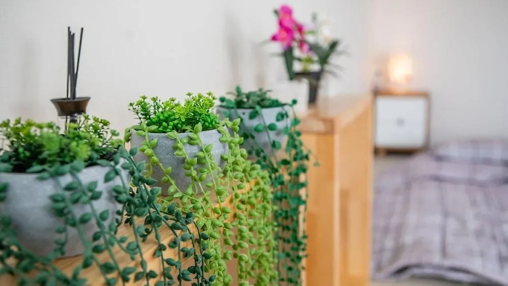 Ganghwado Baba Valley Pension Incheon