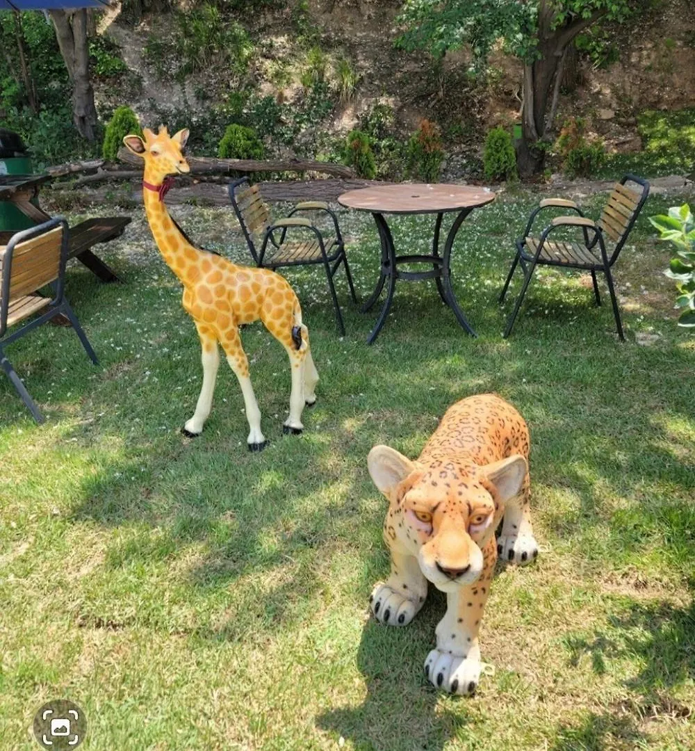 Ganghwado Baba Valley Pension Incheon Guest house